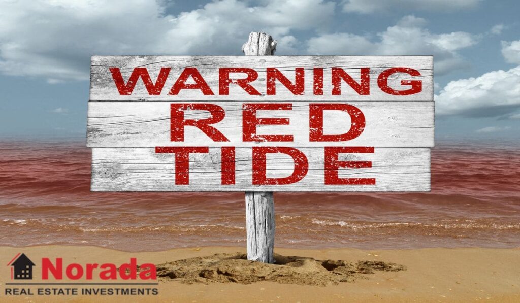 What Causes Red Tide on Florida Beaches (2024)